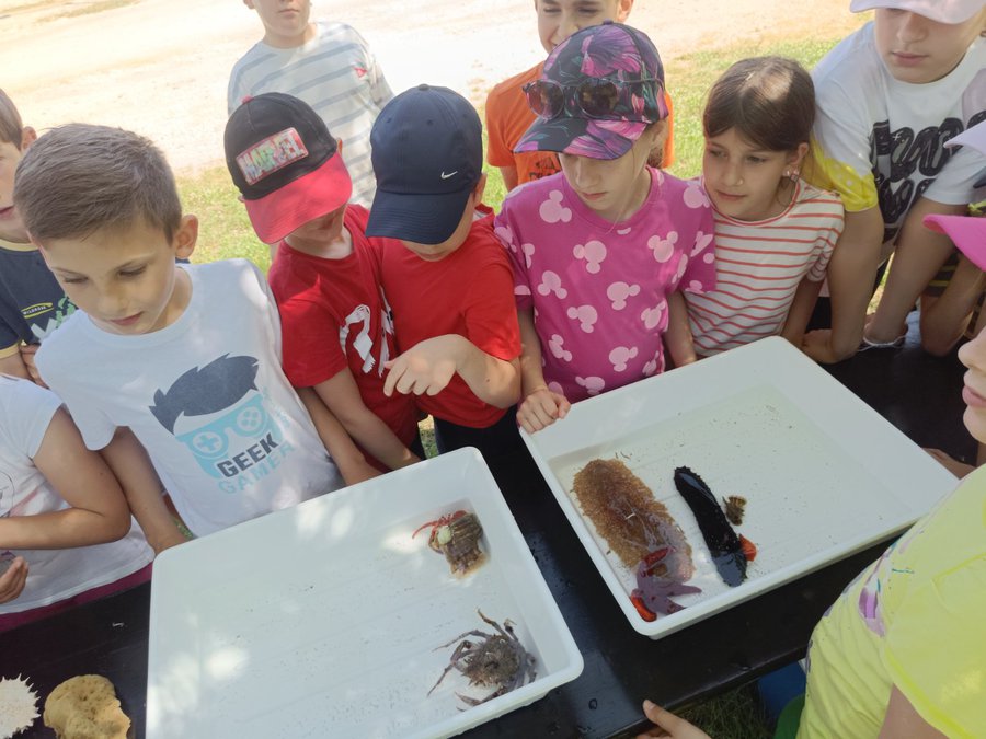 STEM radionice o “Natura 2000” staništima u Istri zainteresirale brojnu djecu i odrasle